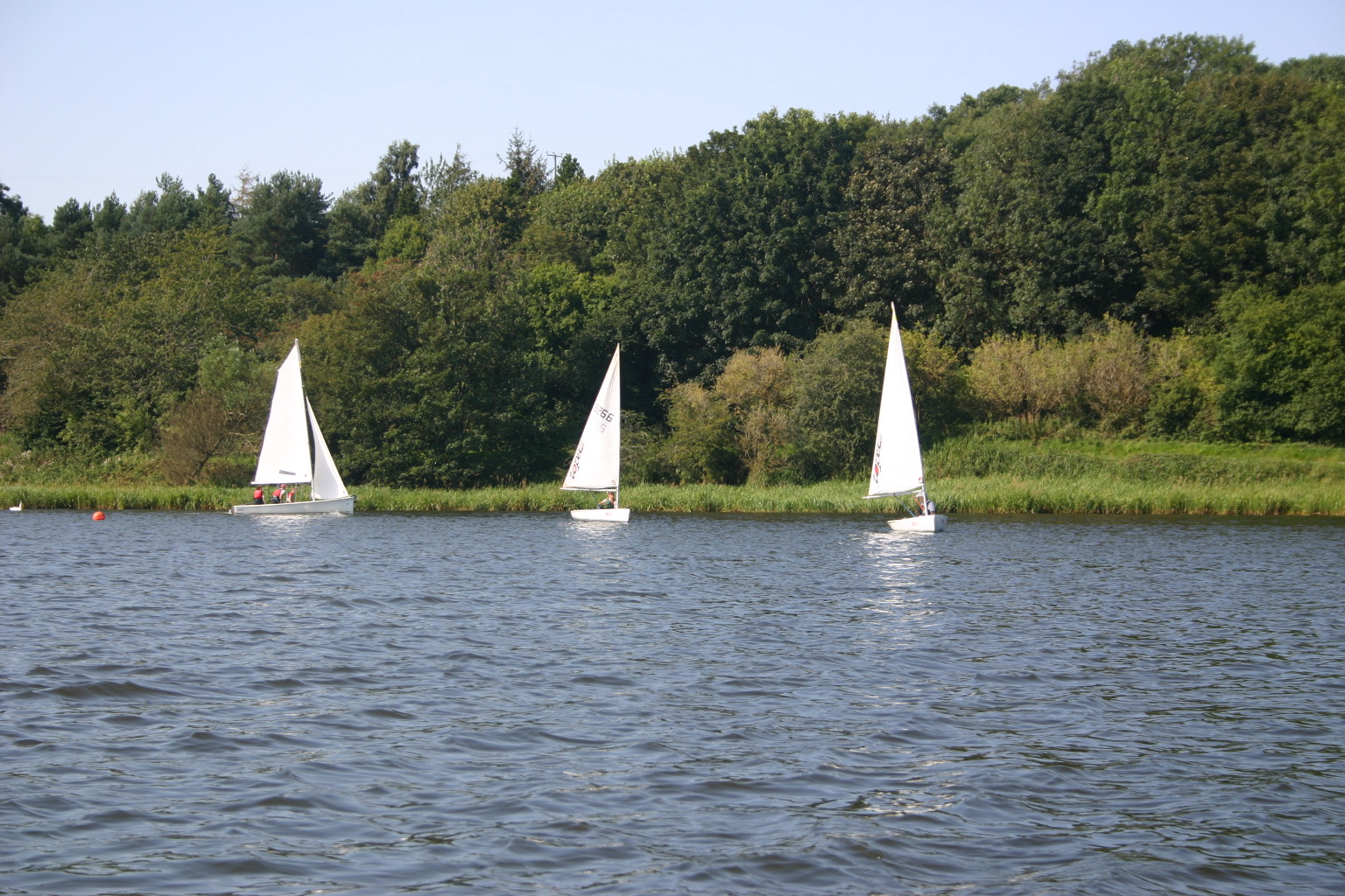 Sailing Boat